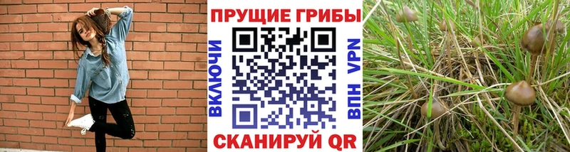 Галлюциногенные грибы Magic Shrooms  MEGA ТОР  Солигалич 